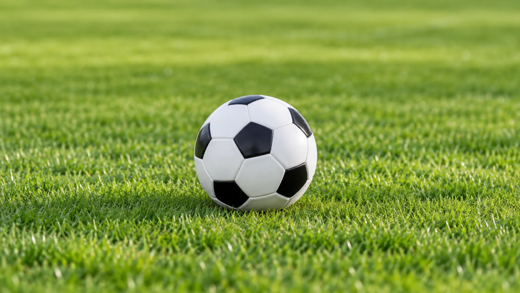 丹麦瑞典国际赛即将开战球迷翘首以待精彩对决与瞬间
